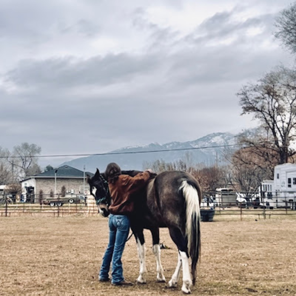 Meet your Posher, Katelyn